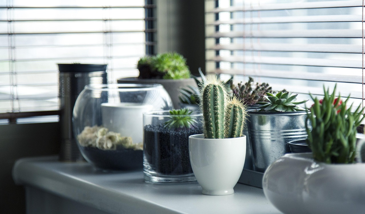 Plantenarrangement met opvallende herfsttinten. Plantenarrangement met opvallende herfsttinten.